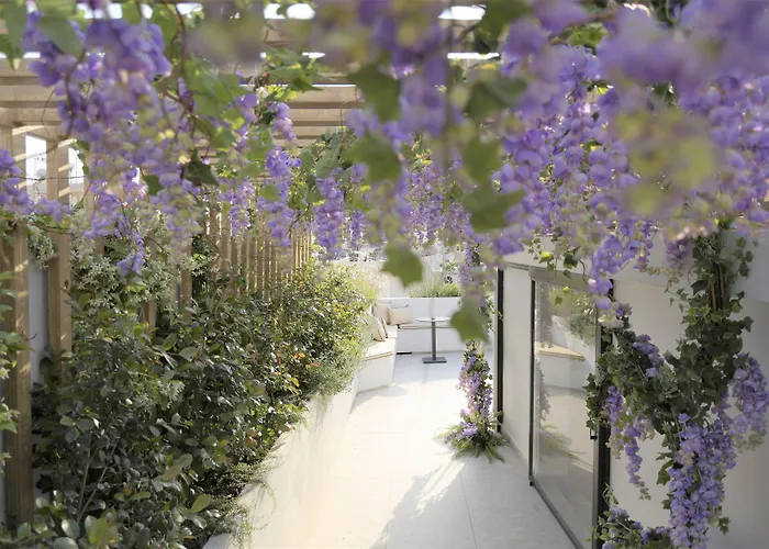 Cityzoe Athens